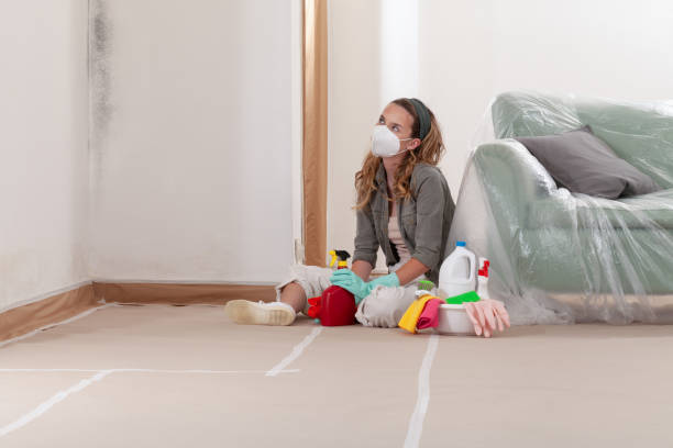 Reliable Black Mold Removal contractor in Bergenfield, NJ by WQB Mold Removal